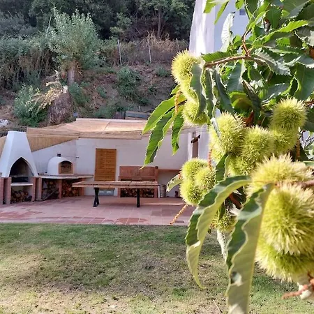 Casa Barranco Villa Juzcar Exterior photo