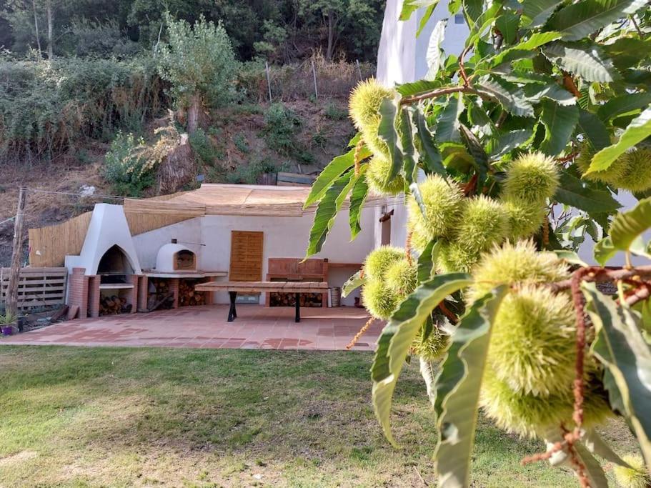 Casa Barranco * Juzcar
